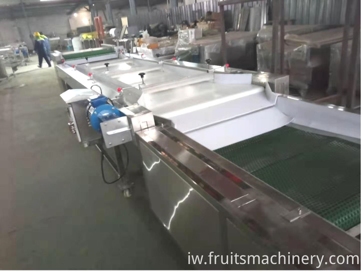 Blueberry Sorting Machine Grading Machine For Blueberry Plant